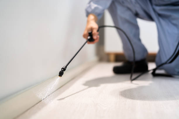 Licensed Termite Control service in Robins AFB, GA - Nex Pest Control