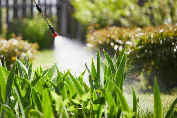 24/7 Emergency Termite Control experts in Robins AFB, GA
