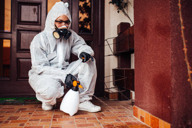 Reliable Termite Control contractor in Robins AFB, GA by Nex Pest Control